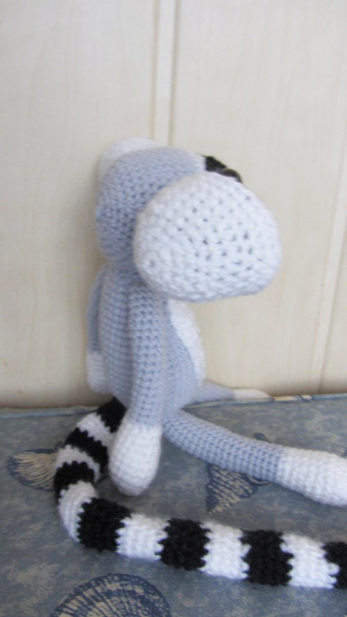 Lemur Ignác — foto 3