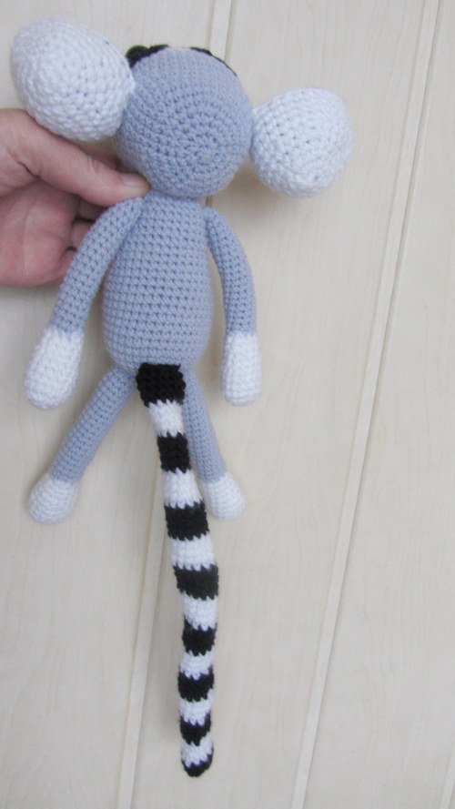 Lemur Ignác — foto 4