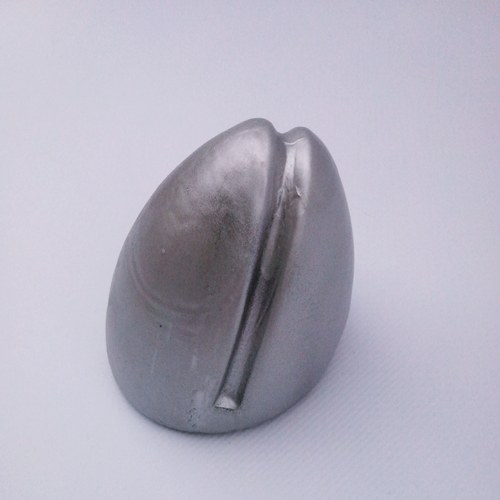 Zvědavý keporkak — foto 2