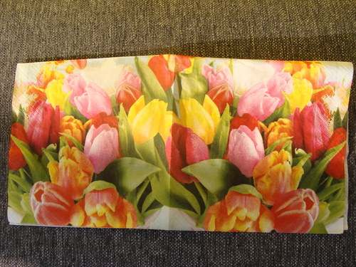 Barevné tulipány — foto 2