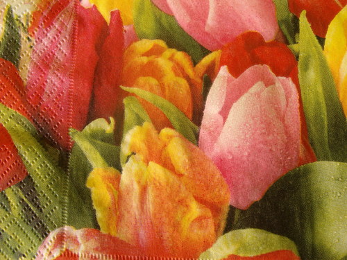 Barevné tulipány — foto 3