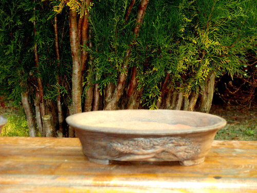 Bonsai miska oválná — foto 2