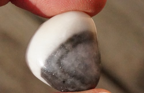 Mušlový kámen B6665 — foto 2