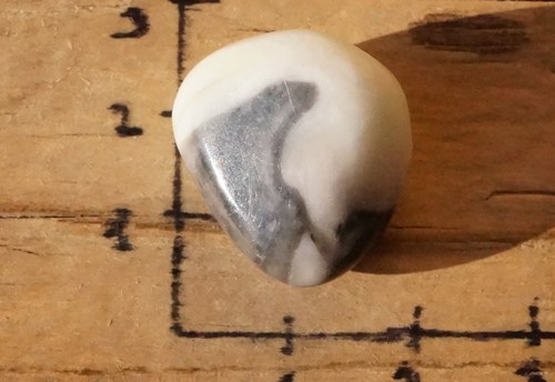 Mušlový kámen B6665 — foto 3