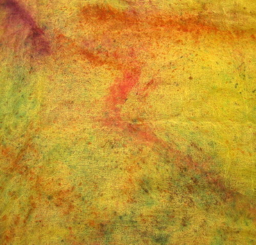 Žlutá / Barvy — foto 2