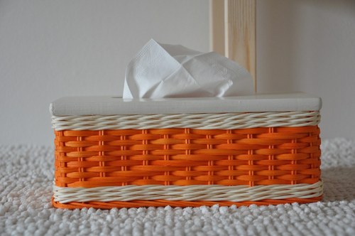 Kapesníkovník oranžovobílý — foto 2