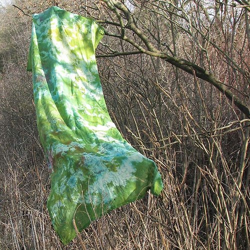 Život v podmořském lese — foto 5