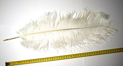 Brk 50 cm, bílý — foto 2