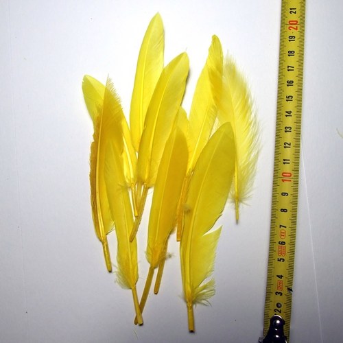 Peří, letky žluté - 10 ks — foto 2