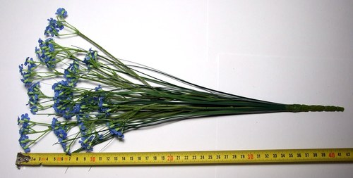 Pomněnky — foto 2