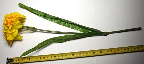 Narcis plnokvětý — foto 2