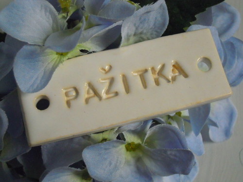 BYLINKOVÉ cedulky na přání — foto 5