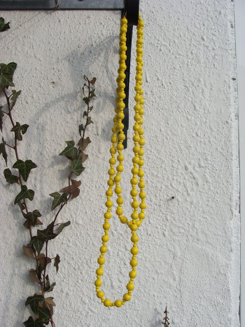 Žluté korále — foto 2