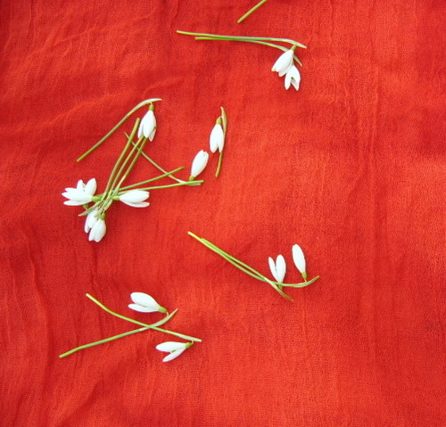 Ohnivá — foto 2