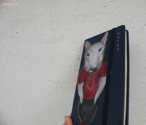 Bullie frajeří ... notes — foto 2