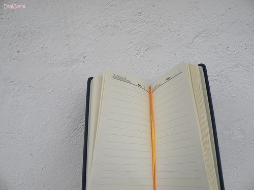 Bullie frajeří ... notes — foto 6
