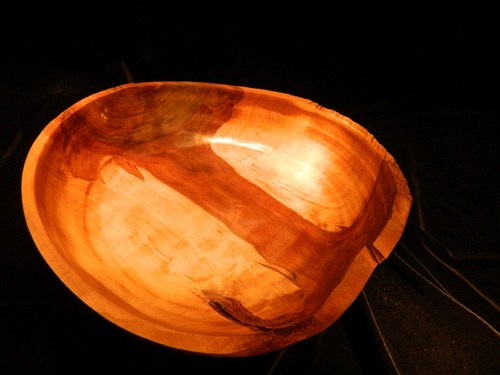 Ze starého sadu — foto 2