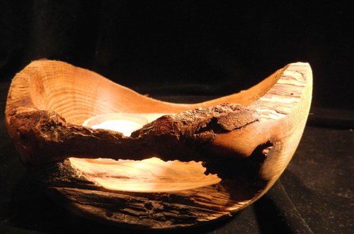 Old oak I — foto 3