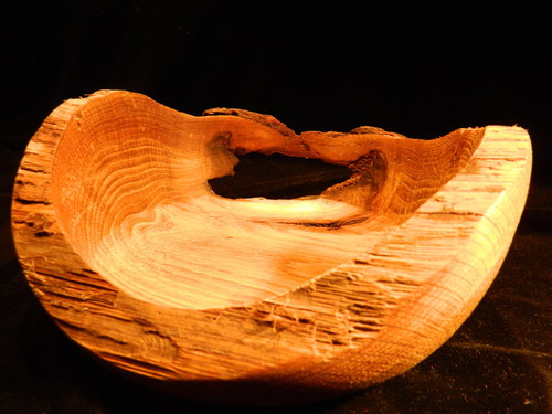 Old oak I — foto 4