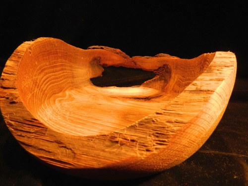 Old oak I — foto 5