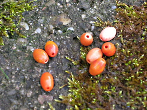 Skleněné oválky, olivky 1 cm. — foto 2