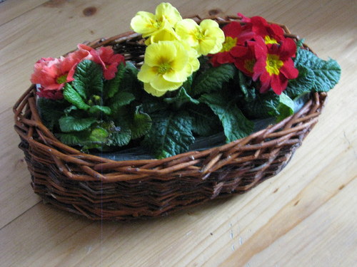 Fakt proutěná - jarní sleva — foto 2