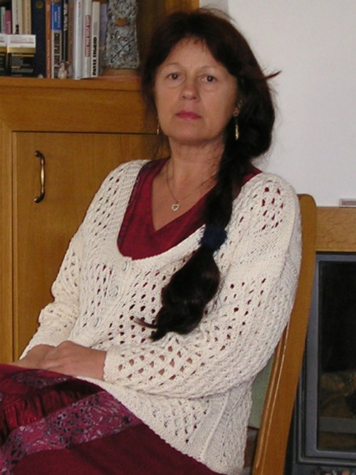 Děrovaný svetřík — foto 2