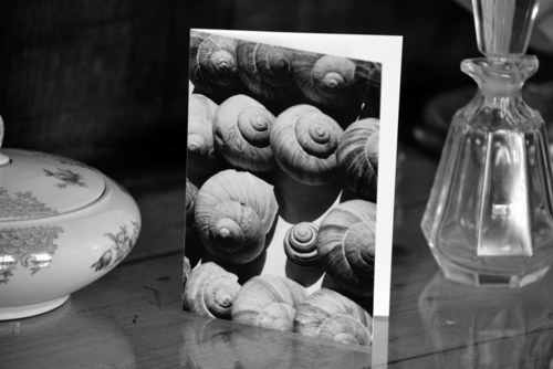 Pohlednice: Rodina — foto 2