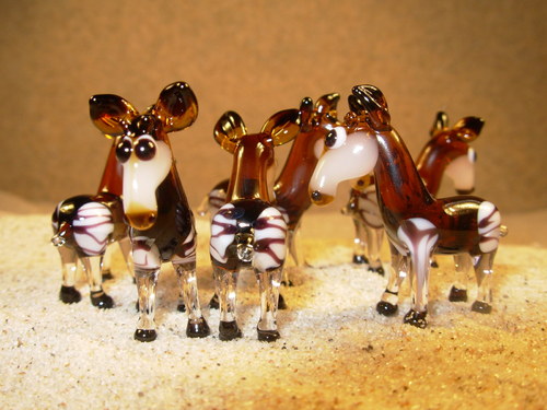 Okapi — foto 4