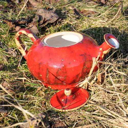 Šupinatka červená — foto 3