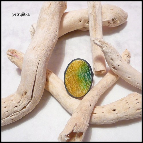 Slunečník — foto 2