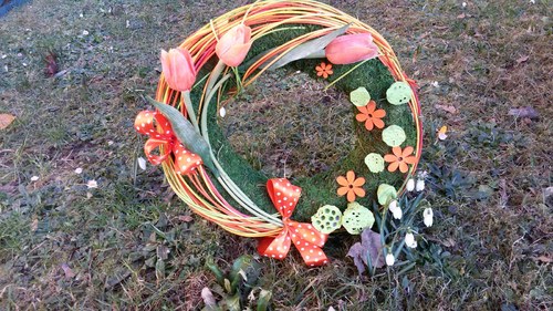 Rozkvetly tulipány — foto 2