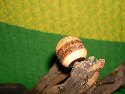 Sanka-korálek na dredy — foto 3