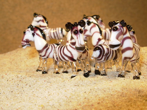Zebra — foto 3