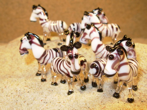 Zebra — foto 4