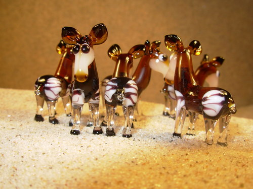 Okapi — foto 5