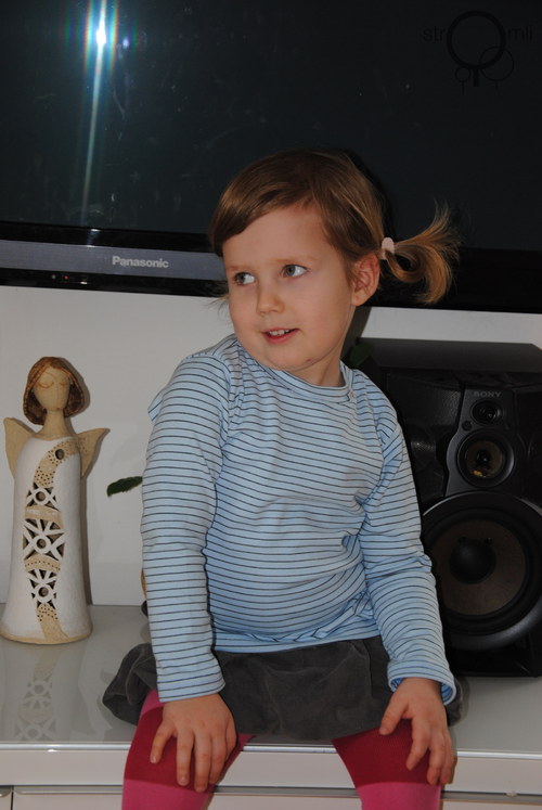 Modravé pruhované, vel. 2-3 roky — foto 5