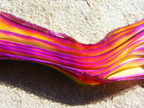 Hedvábí ala Shibori Ribbon 5 — foto 2