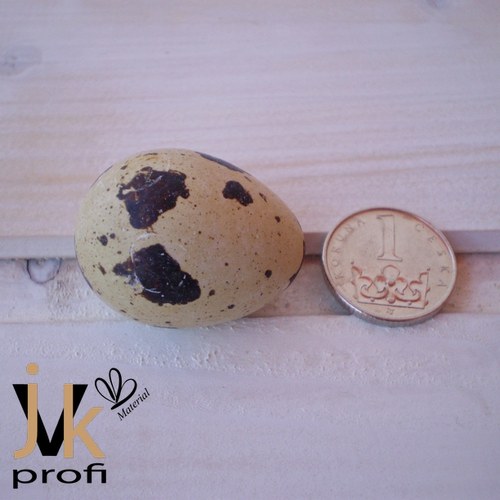 Křepelčí vajíčka — foto 5