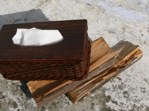 Kapesníkovník - hnědý pásek II. — foto 2