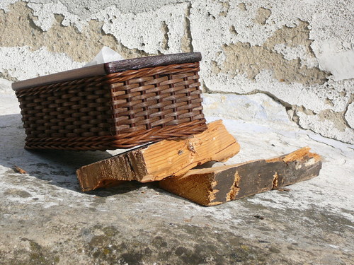 Kapesníkovník - hnědý pásek II. — foto 4
