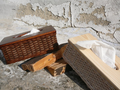 Kapesníkovník - hnědý pásek II. — foto 5