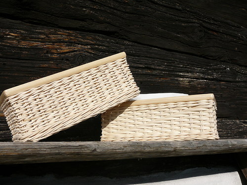 Kapesníkovník - přírodní — foto 2