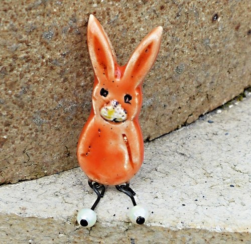 Oranžový králíček — foto 2