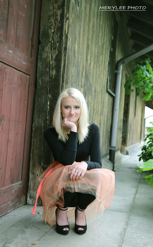 Tylová sukýnka — foto 2