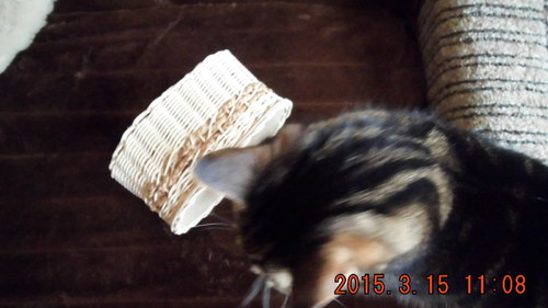 Oválný košík — foto 2