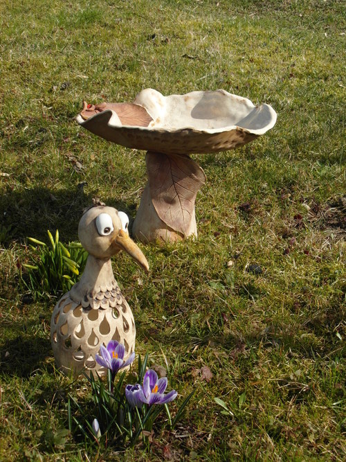 Jeřáb lampička — foto 2