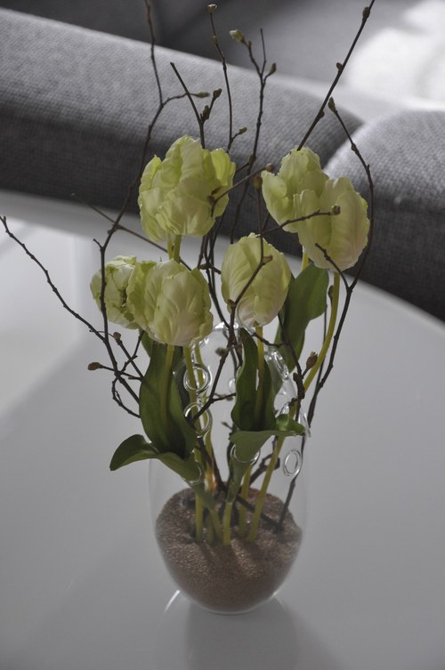 Dekorac ClearParrot — foto 2