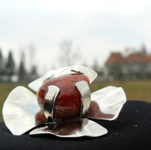 Brož život kavárenský — foto 2