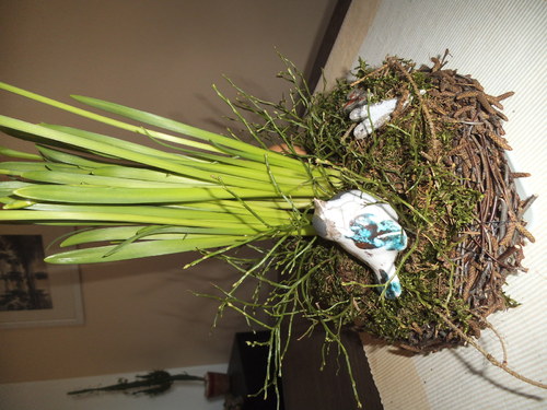 Ptáček zpěváček — foto 6